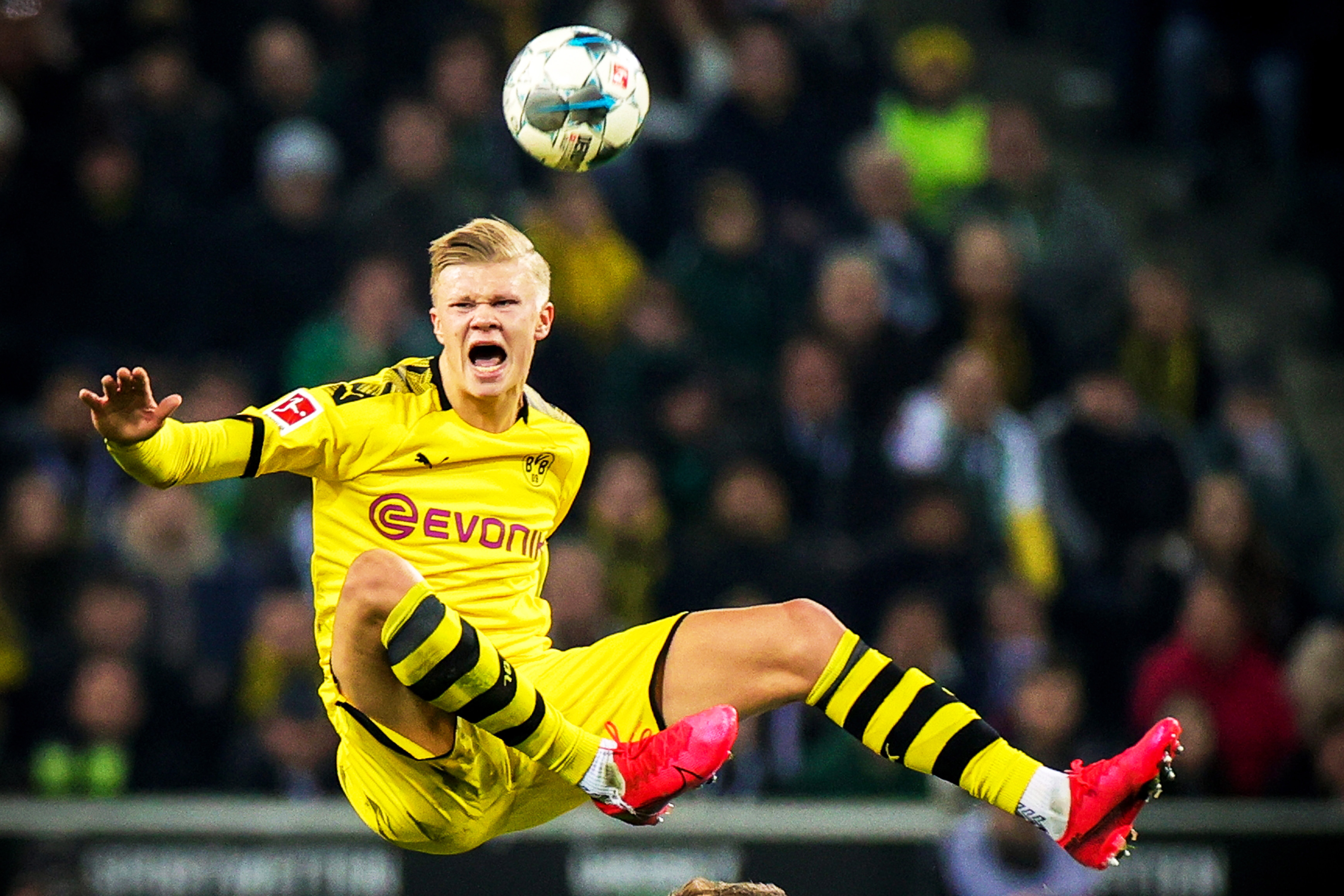 当你看到瓜 当你看到瓜